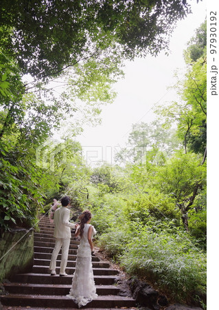 未来を誓う新郎新婦の後ろ姿 未来を誓う新郎新婦の後ろ姿 97930192