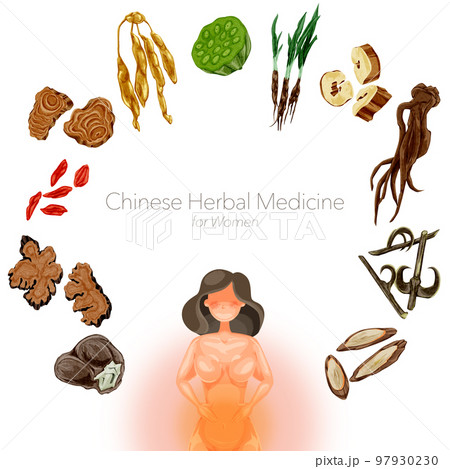 女性の悩みに役立つ漢方生薬の手描き水彩風イラスト 97930230