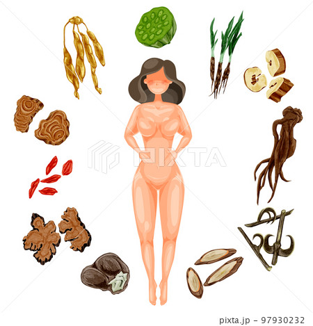 女性の悩みに役立つ漢方生薬の手描き水彩風イラスト 女性の悩みに役立つ漢方生薬の手描き水彩風イラスト 97930232
