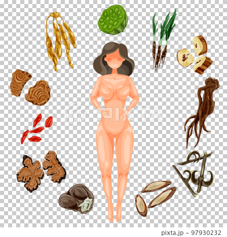 女性の悩みに役立つ漢方生薬の手描き水彩風イラスト 女性の悩みに役立つ漢方生薬の手描き水彩風イラスト 97930232