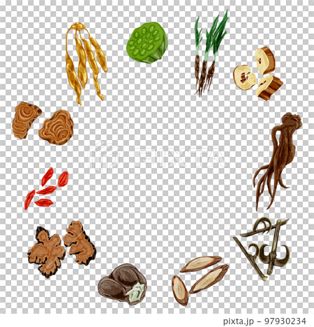 Hand-painted watercolor illustration of herbal medicine useful for women's troubles 97930234