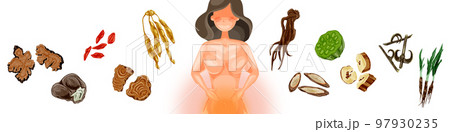 女性の悩みに役立つ漢方生薬の手描き水彩風イラスト 97930235