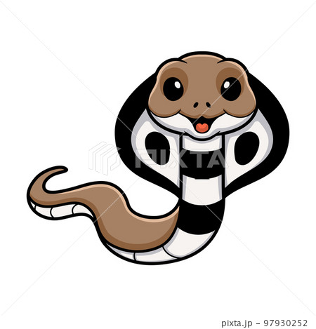 Cute indian king cobra cartoon - Stock Illustration [97930252] - PIXTA