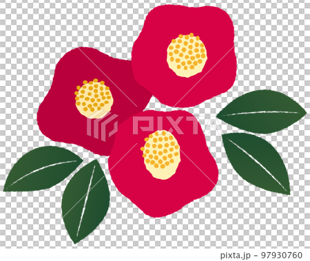 三朵山茶花手寫風格插畫 97930760