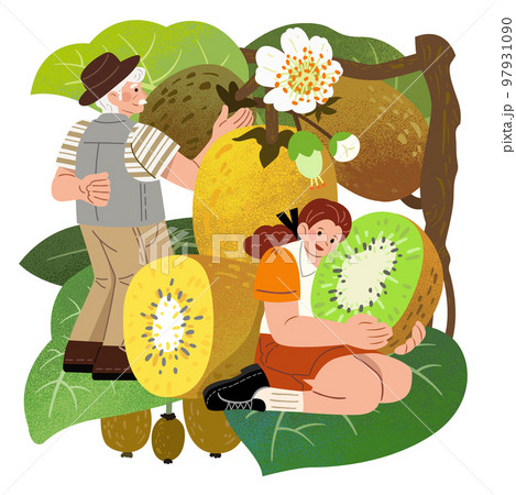 Kiwi and characters illustration Kiwi and characters illustration 97931090