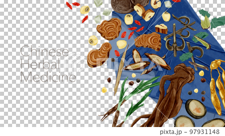Chinese herbal medicine handwritten watercolor style illustration arranged on the table 97931148