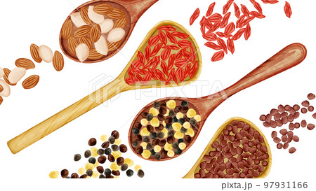 木製スプーンに乗せた漢方生薬手描き水彩風イラスト 97931166