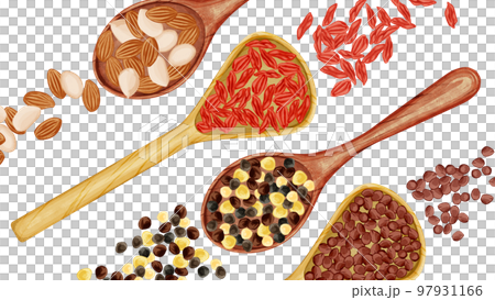 木勺上的中草藥手繪水彩風格插圖 木勺上的中草藥手繪水彩風格插圖 97931166