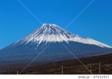 鳥さん達も富士山詣をしています。 97932957