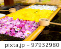 花手水【福島県耶麻郡猪苗代町　土津神社】 97932980