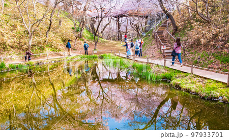 高遠城址公園（春） 97933701