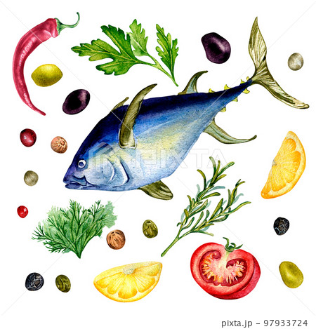Set of tuna and herbs watercolor illustration isolated on white. Set of tuna and herbs watercolor illustration isolated on white. 97933724