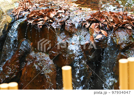 枯れ葉の溜まる小川の流れ 97934047