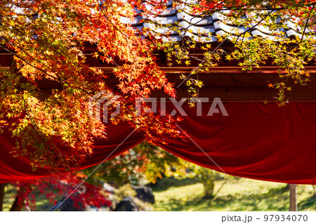 静岡県伊豆市修善寺虹の郷　紅葉と周辺の風景 97934070