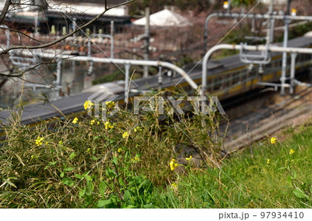 中央本線 飯田橋駅 付近 中央本線 飯田橋駅 付近 97934410
