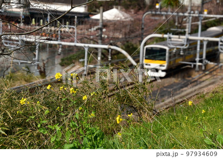 中央本線　飯田橋駅　付近 97934609