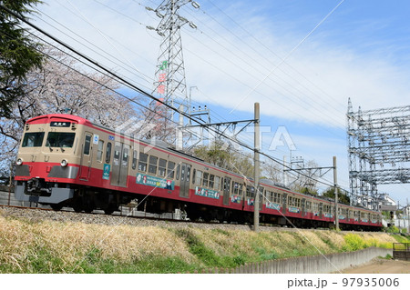 咲いた桜の横をゆく西武多摩川線 新101系 復刻旧塗装 咲いた桜の横をゆく西武多摩川線 新101系 復刻旧塗装 97935006