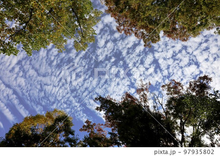 碌山美術館 97935802