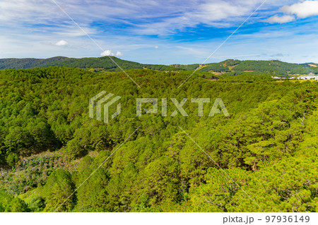 The hills of Dalat. 97936149