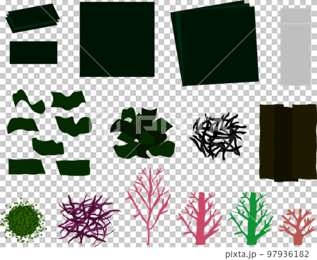 紫菜P 紫菜P 97936182