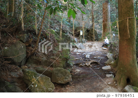 筑波山御幸ヶ原コースの風景 97936451