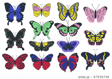 Set of colorful butterflies isolated on white background. Vector graphics. 97936746
