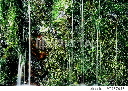 苔むす岩肌に流れる水 97937053