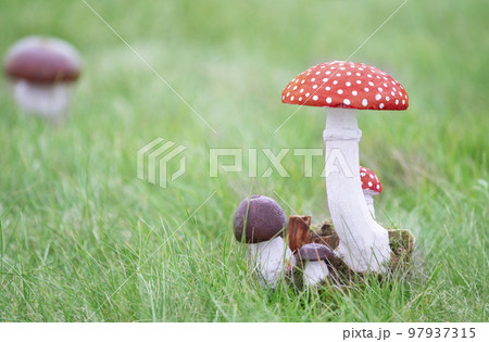 Decorative wooden fly agaric mushrooms on a background of grass. 97937315