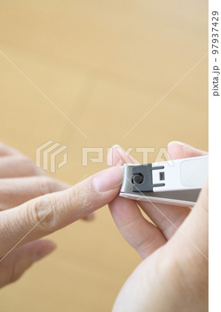 爪を切る 97937429