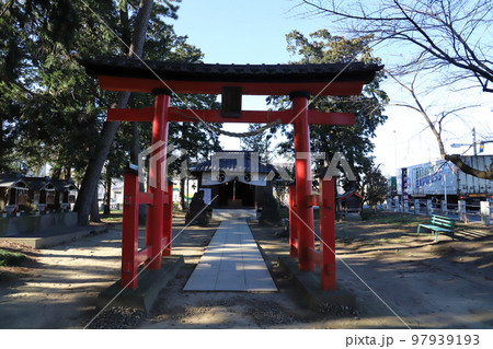日本の埼玉県蓮田市川島の久伊豆神社の正月の風景 97939193