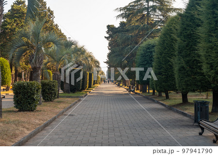 Park with palm trees and other trees on the embankment of Batumi Park with palm trees and other trees on the embankment of Batumi 97941790