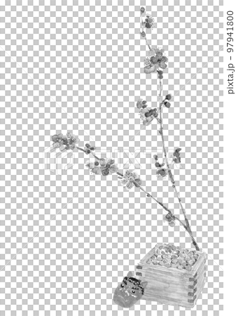 Setsubun image Monotone [Ink painting style watercolor painting] Red plum Setsubun beans Red demon White background Transparent background Copy space 97941800