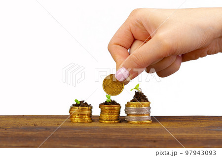 Seedlings grown on a coins stack in female palm Seedlings grown on a coins stack in female palm 97943093