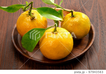 日本のフルーツ、橙 97943563