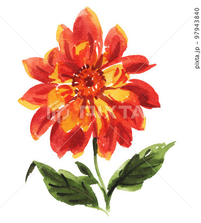 dahlia23105pix8 97943840