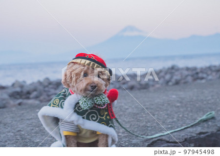 犬と富士山 97945498