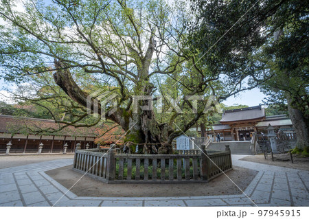 大山祇神社 97945915