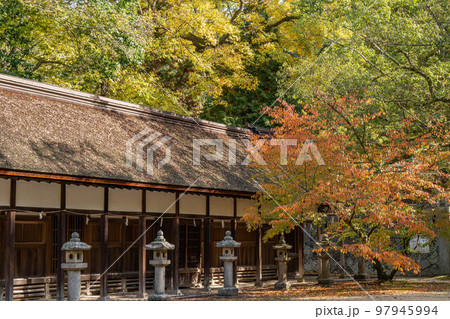 大山祇神社 大山祇神社 97945994