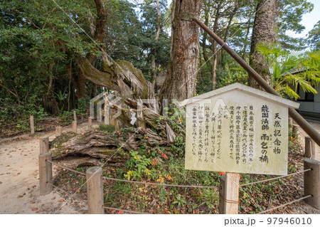 大山祇神社 大山祇神社 97946010