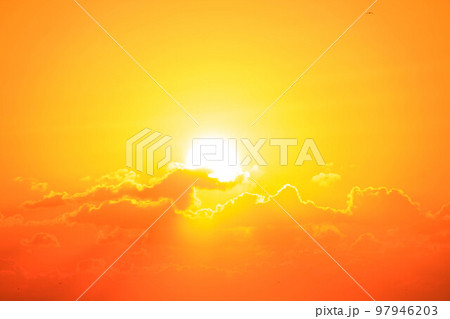 太陽の光 97946203