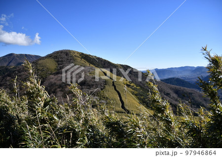 明神ヶ岳に続く登山道 明神ヶ岳に続く登山道 97946864