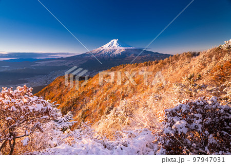 《山梨県》富士山と三段紅葉の三つ峠・紅葉と積雪の共存 《山梨県》富士山と三段紅葉の三つ峠・紅葉と積雪の共存 97947031