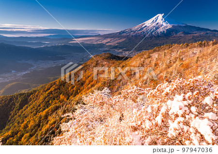 《山梨県》富士山と三段紅葉の三つ峠・紅葉と積雪の共存 97947036