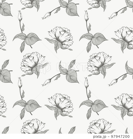 Seamless pattern, line drawing of flowers, pastel colors. Elegant design for pastel linen, textile, vector Seamless pattern, line drawing of flowers, pastel colors. Elegant design for pastel linen, textile, vector 97947200