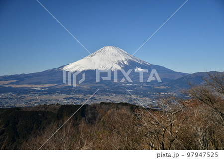 新春の富士 新春の富士 97947525
