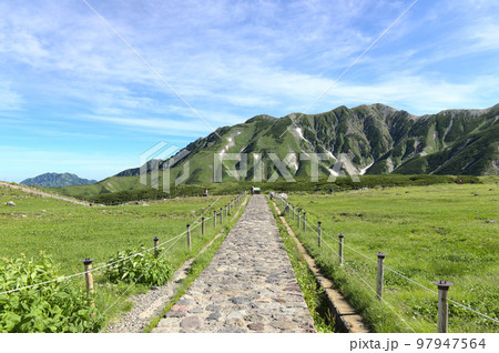 夏の立山の稜線と登山道 97947564
