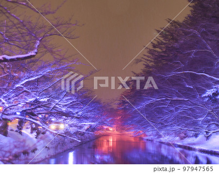 弘前公園 冬の桜ライトアップ 弘前公園 冬の桜ライトアップ 97947565
