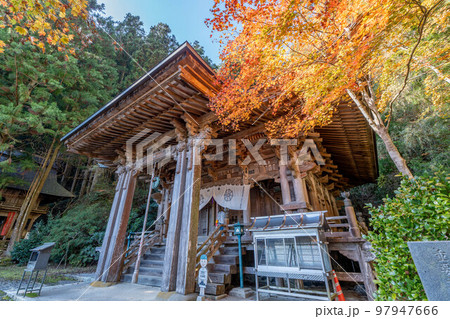 岩屋寺 岩屋寺 97947666