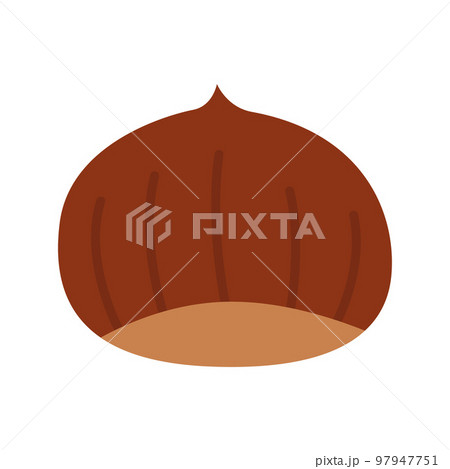 Edible sweet chestnuts. Japanese chestnut isolated on white background. 97947751