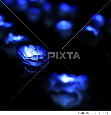 東京メガイルミ2022-2023〈TOKYO MEGA ILLUMI〉 97948774